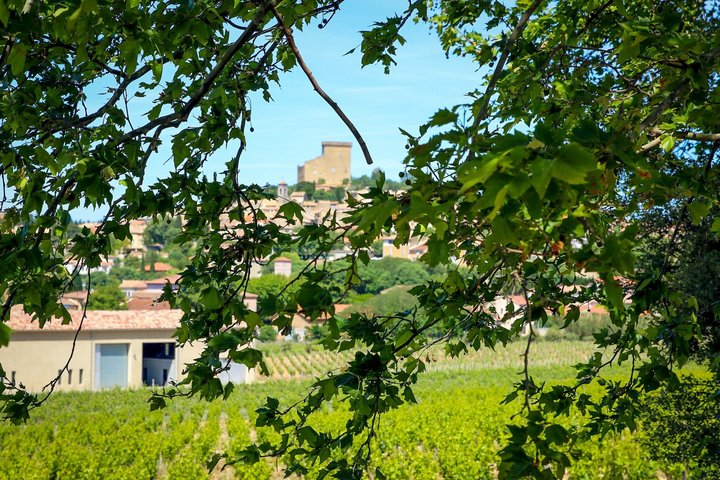 Wines of Châteauneuf-du-Pape, History, Heritage, Finest Vineyards - Photo 1 of 25
