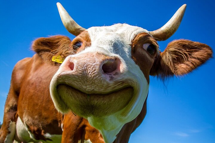 Day Trip Annecy and Aravis from Chamonix - Photo 1 of 9