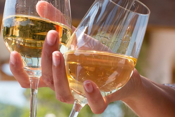 Alsace: Wine tasting/Single Straw Wine Tour - Photo 1 of 16