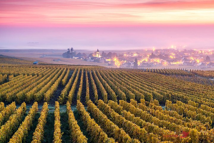 Epernay (World Capital Of Champagne) - Private Trip - Photo 1 of 25