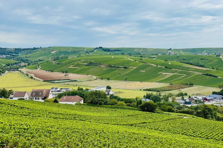 Paris Wine Day Tours exclusive Champagne tour incl. 3 visits - Photo 1 of 11