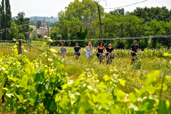 "Explore Saint-Émilion on e-Bikes: Small Group, half-Day Tour" - Photo 1 of 25
