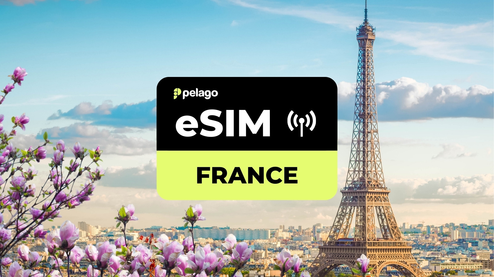 France eSIM by Pelago - Photo 1 of 1
