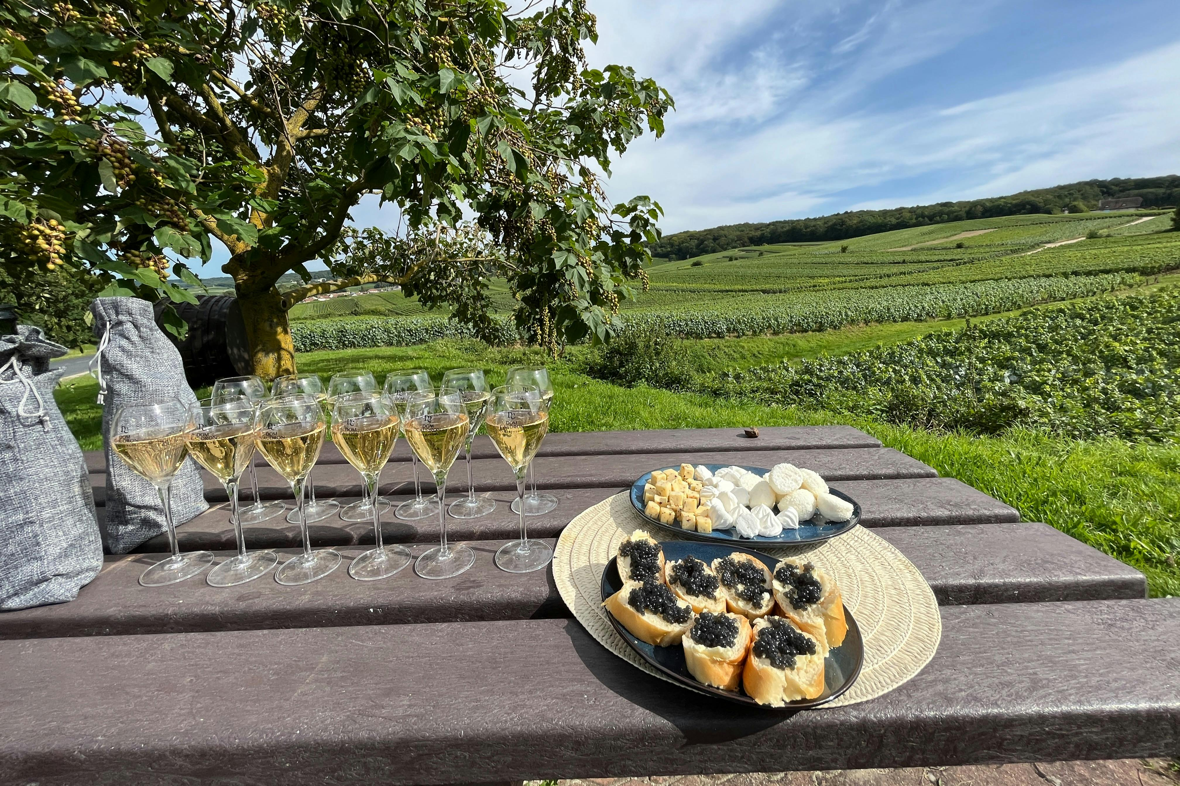 Reims: Champagne Tasting with Cellars Visit Day Trip from Paris in