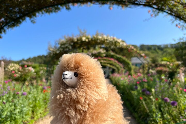 Giverny & Versailles Private Guided Tour with Ticket Entry - Photo 1 of 18