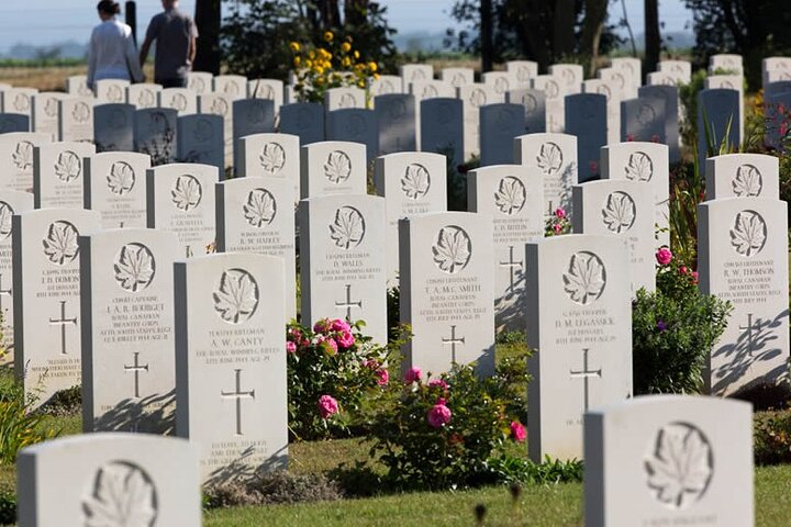 Half-Day Tour of Juno Sector with a Professional Guide  - Photo 1 of 5