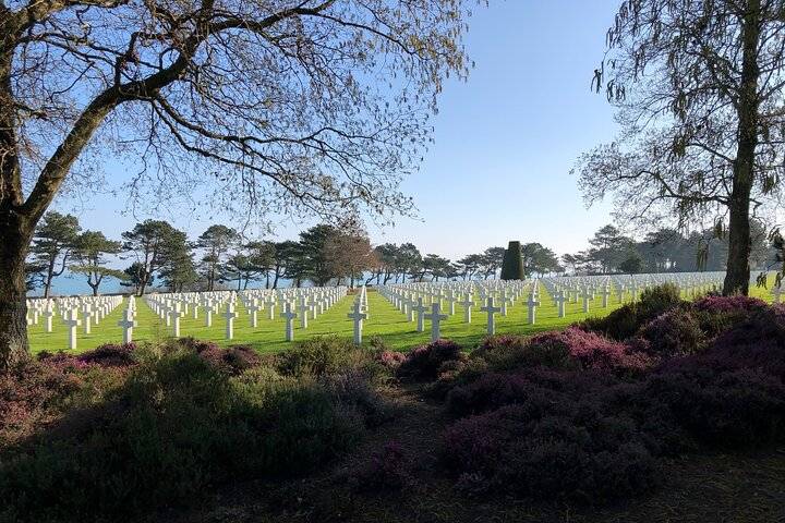 Half-day tour of Omaha Sector with a professional guide  - Photo 1 of 7
