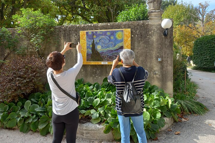 In the footsteps of Van Gogh in Provence from Avignon - Photo 1 of 9