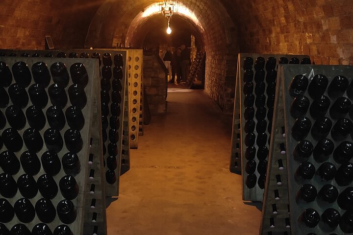 https://media-cdn.tripadvisor.com/media/attractions-splice-spp-720x480/12/4a/0c/a8.jpg