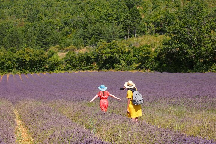 Lavender Full-day Tour in Sault From AIX-EN-PROVENCE - Photo 1 of 7
