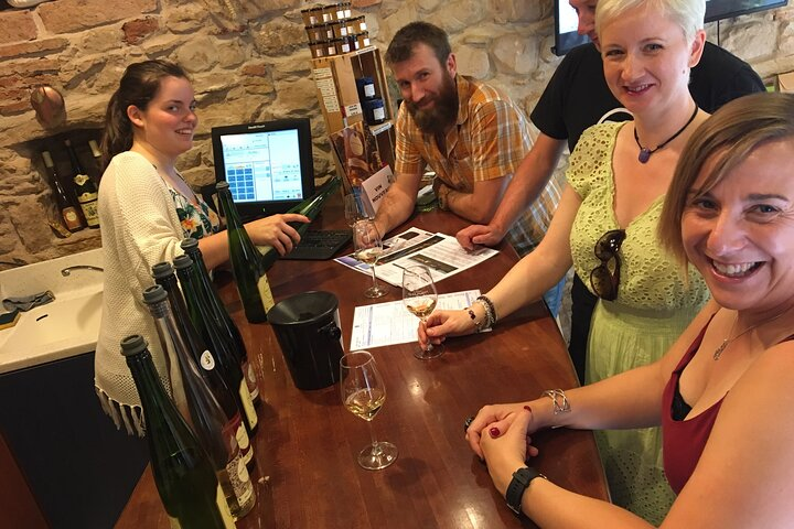 "Le petit Alsacien" Luxury Tour Local private friendly driver - Photo 1 of 5