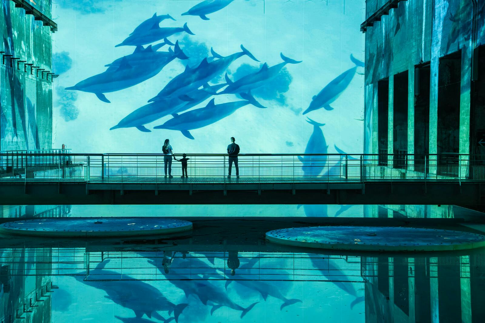 Bassins des Lumières: Ocean Exhibition - Photo 1 of 8