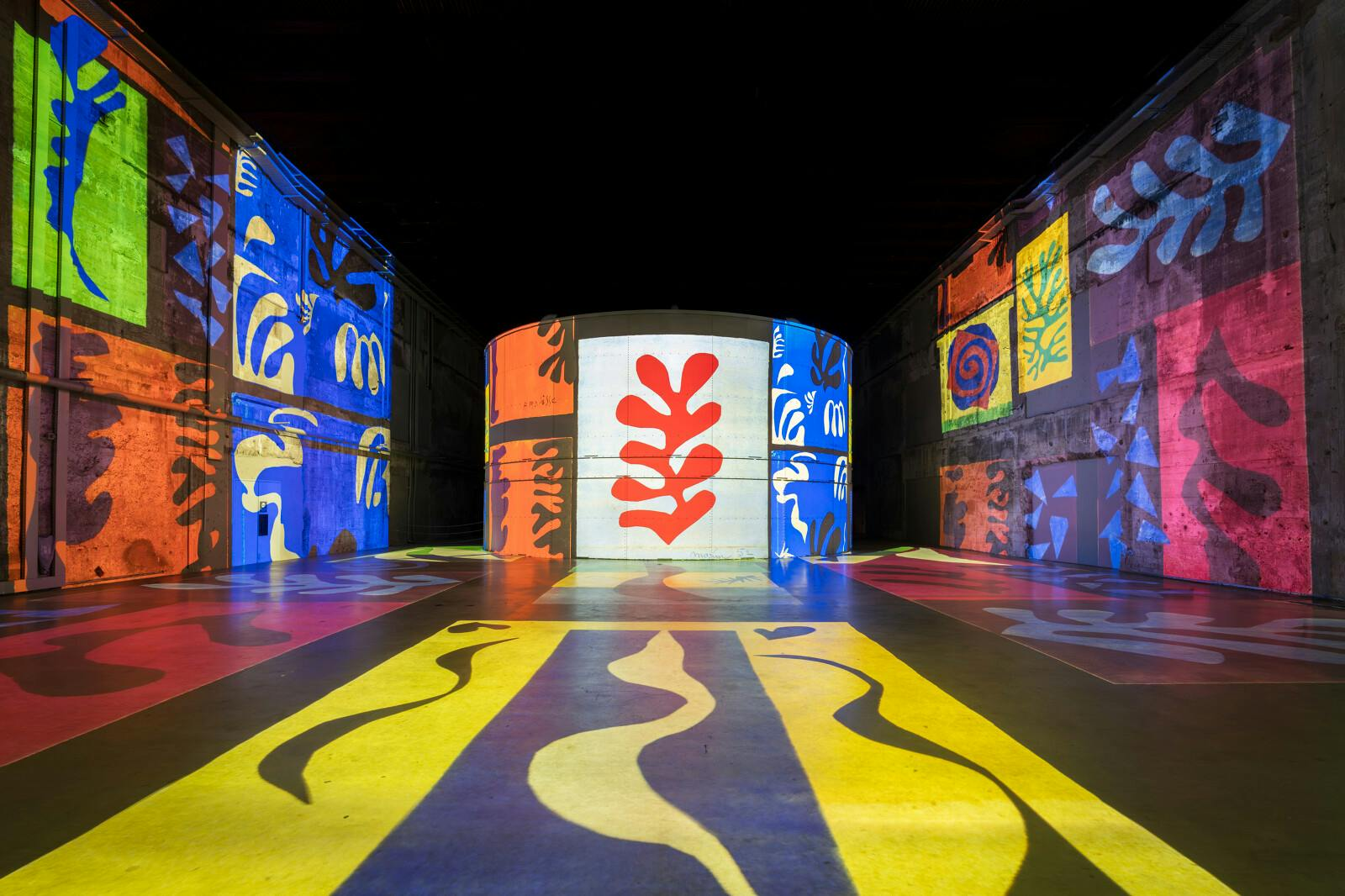Bassins des Lumières: Matisse & Frida Kahlo Exhibition - Photo 1 of 10