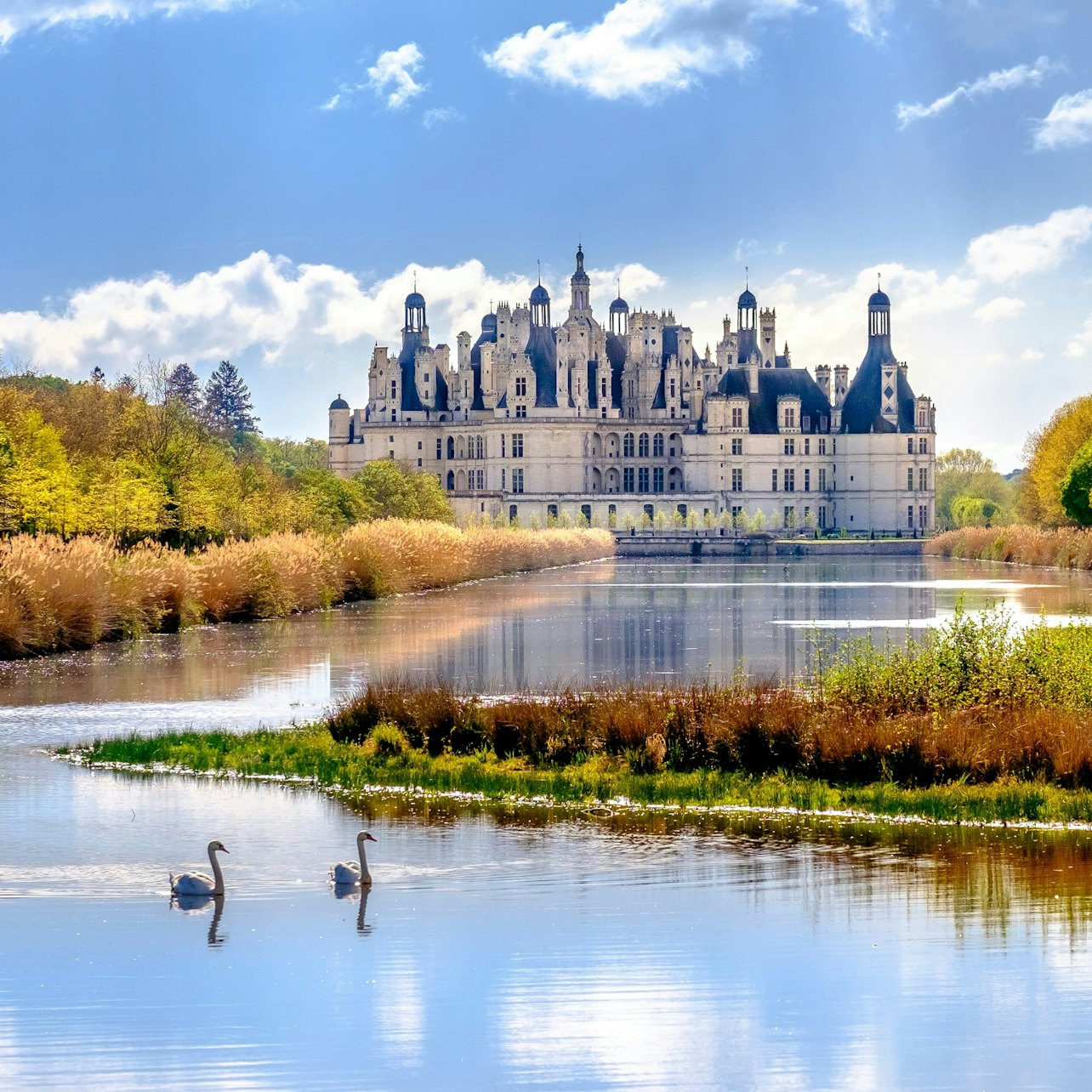 Loire Valley: Day Trip with Castle Entry + Wine Tasting - Photo 1 of 15