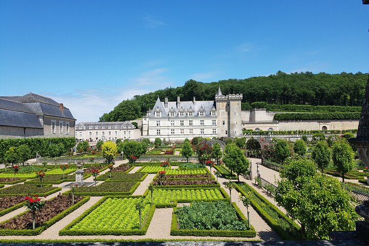 Loire Valley from Amboise : Azay le Rideau, Villandry, 2 Wineries - Photo 1 of 6