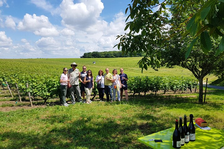 Loire Valley Half Day Wine Tour from Tours : 2 Vouvray wineries - Photo 1 of 7