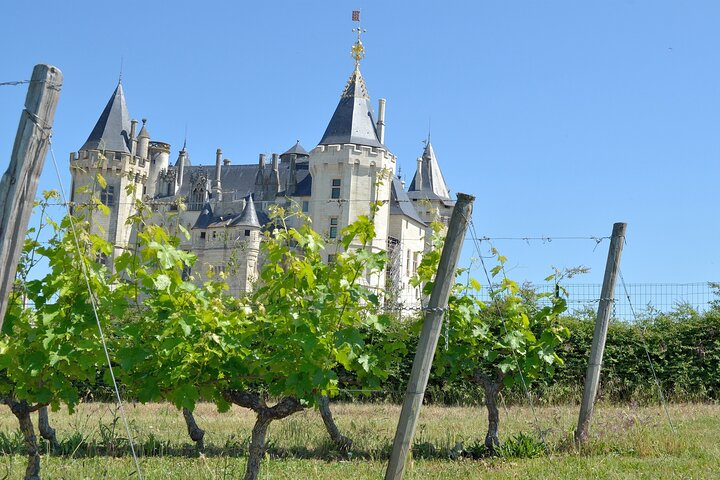 Chinon Wineries Open Sunday Near Me 2025 Full Day Wine Tour In