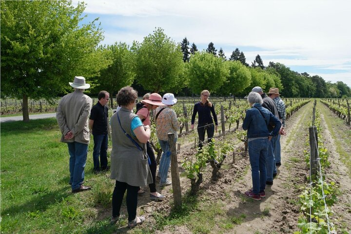 Loire Valley Wines Private Day Tour with Tastings from Tours or Amboise - Photo 1 of 8