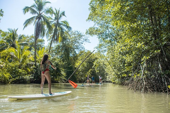 Mangrove Paddle Ride Sainte Anne Guadeloupe - Photo 1 of 8