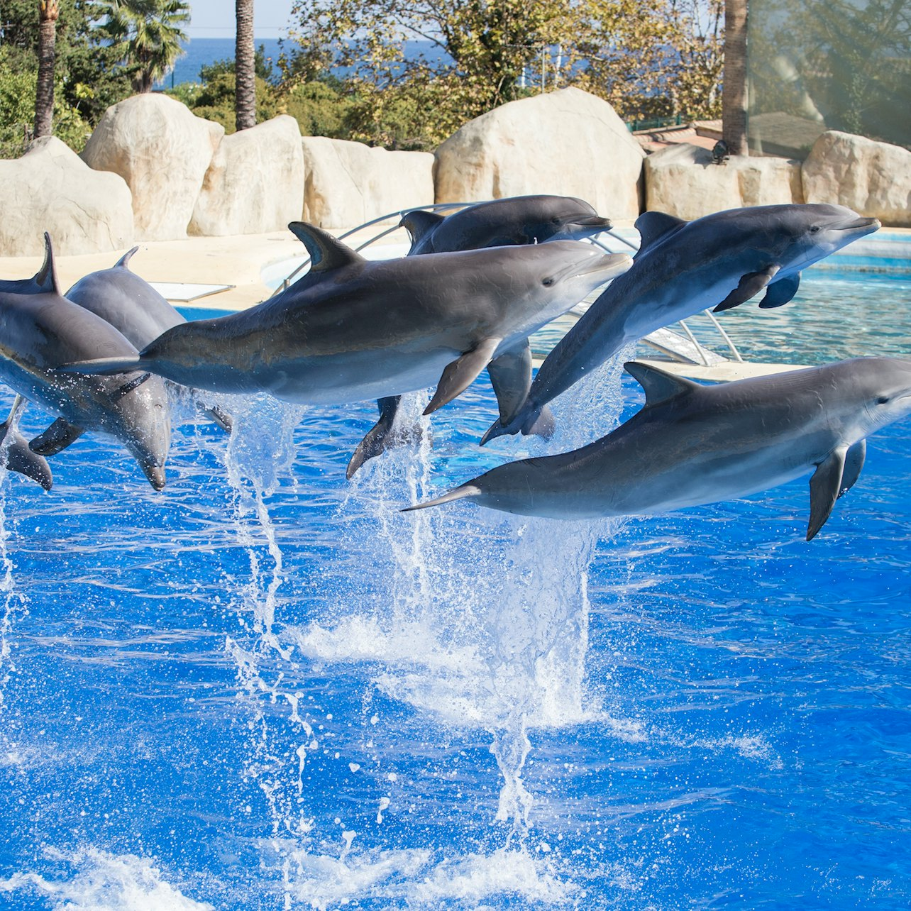 Marineland Côte d'Azur: Entry Ticket - Photo 1 of 10