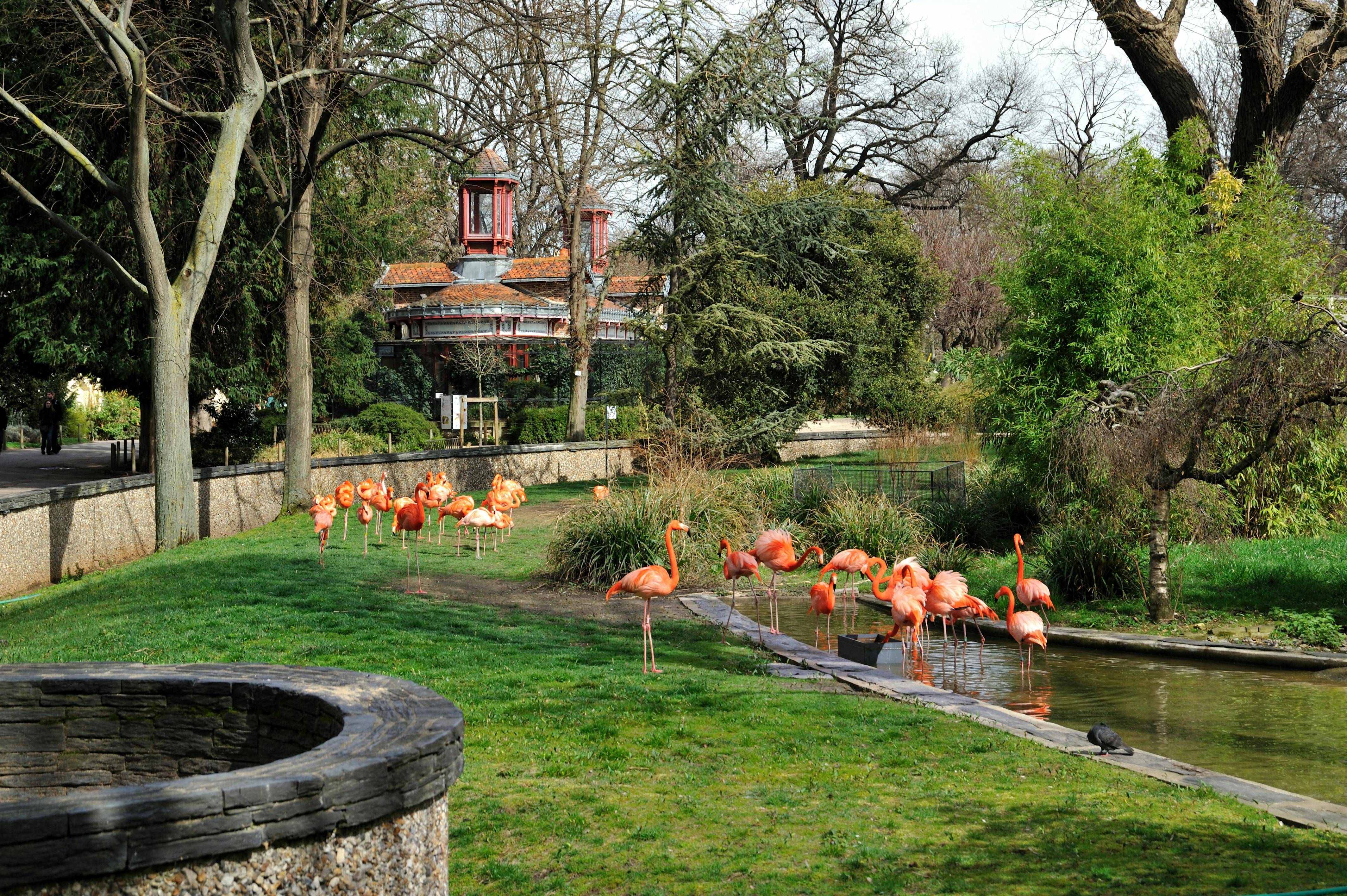 Mnagerie, Zoo of the Jardin des Plantes: Skip The Line in Paris | Pelago