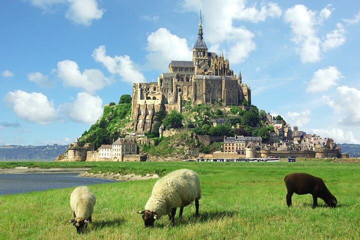 Normandy to Mont-Saint-Michel : Private Tour - Photo 1 of 6