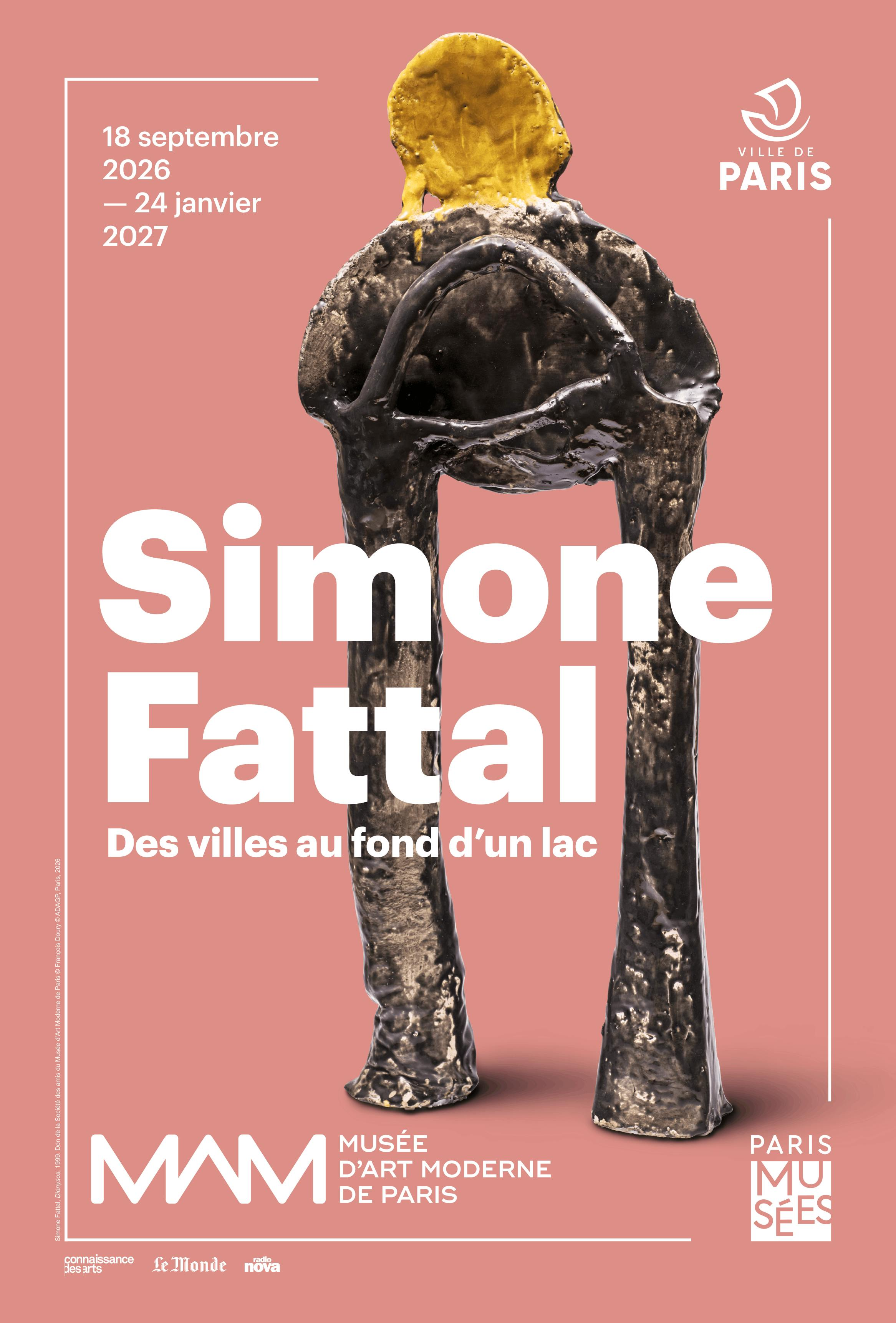 Museum of Modern Art Paris: Simone Fattal Exhibition - Photo 1 of 4