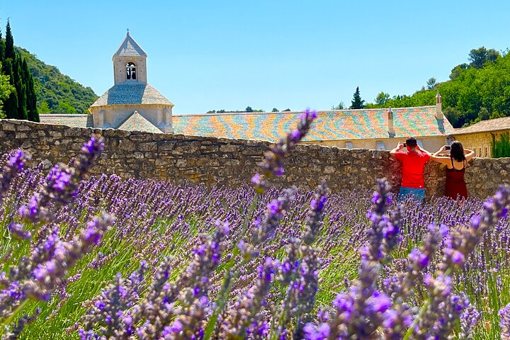 Full Day Tour in the Lavenders of Valensole or Sault - Photo 1 of 7