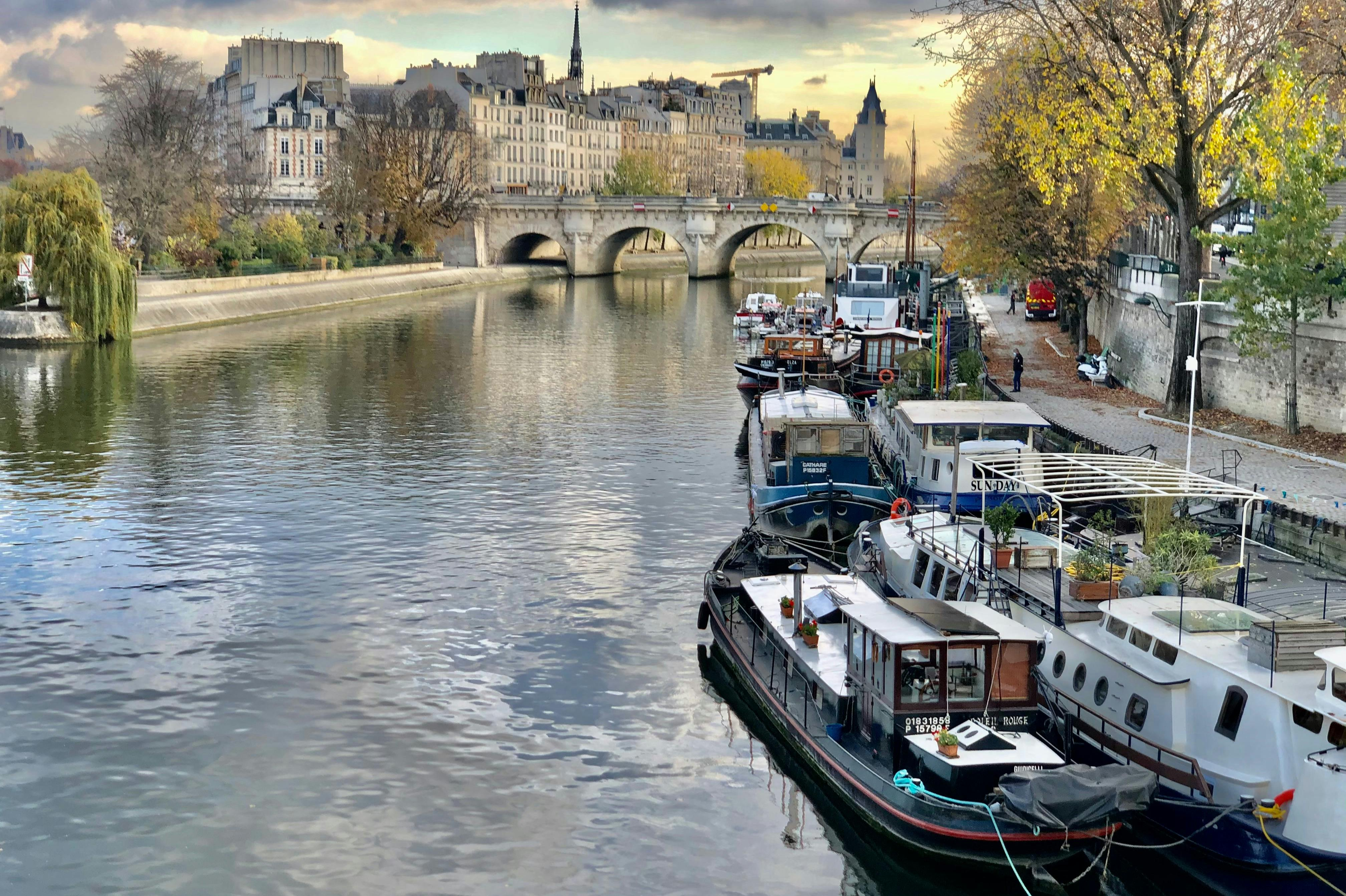 Paris: Semi-Private Walking Tour + Notre-Dame Cathedral Entry - Photo 1 of 8