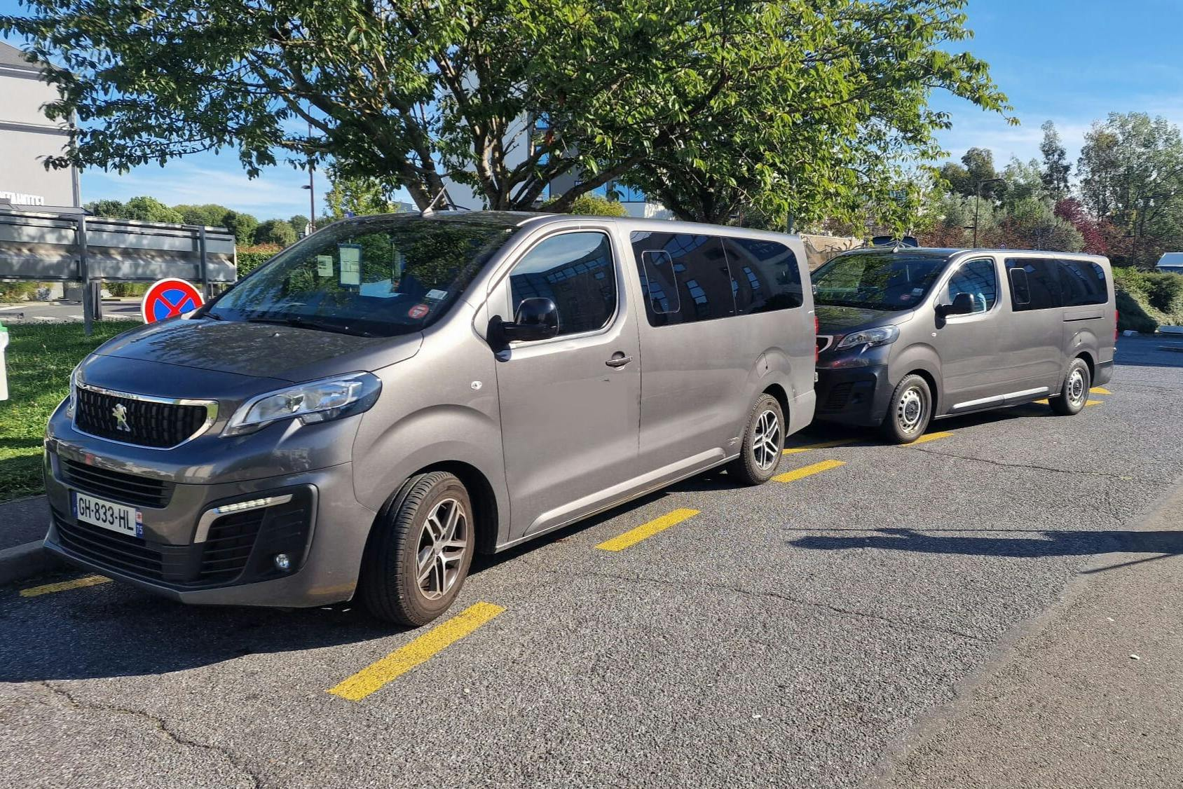 Paris: Shared Shuttle Transfer From CDG Airport to Paris Montparnasse Station - Photo 1 of 3