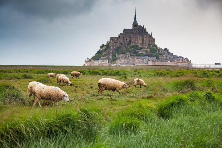 Private and Enchanted Escape to Mont-Saint-Michel from Le Havre - Photo 1 of 16