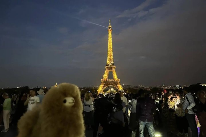 Private Paris City Night Sightseeing Tour by Car - Photo 1 of 7