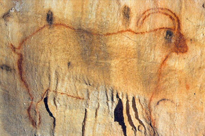 Sarlat : Private Tour to a Prehistoric Cave by Exploreo24 - Photo 1 of 5