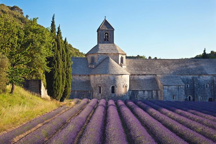 Private tour in Provence with your official tour guide ! - Photo 1 of 25