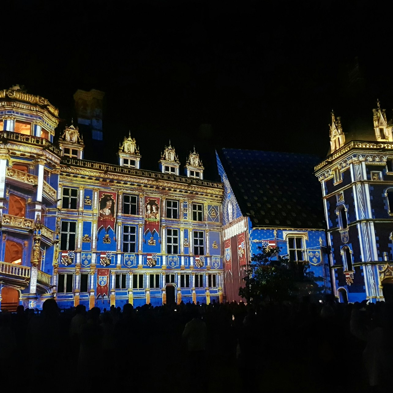 Royal Château de Blois: Sound and Light Show - Photo 1 of 6