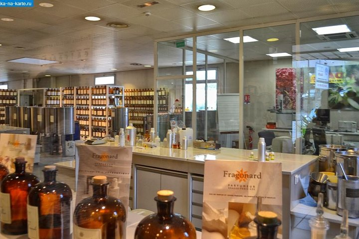 Secrets of winemaking and perfumery on the Côte d'Azur Cannes Shore Excursion - Photo 1 of 2
