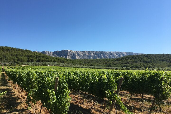View of the famous Sainte Victoire moutain