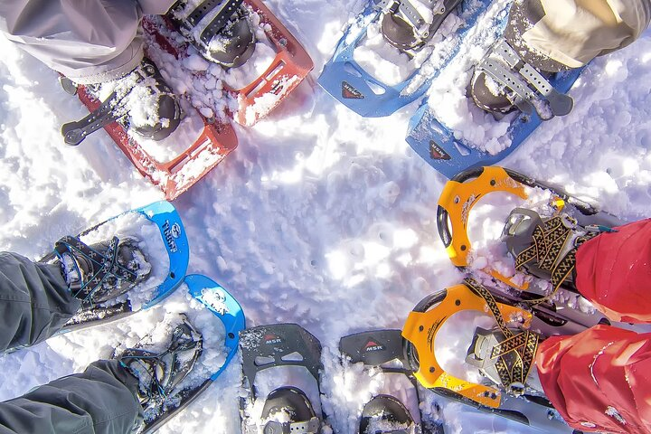 Snowshoeing in Chamonix, with a private guide - Photo 1 of 3