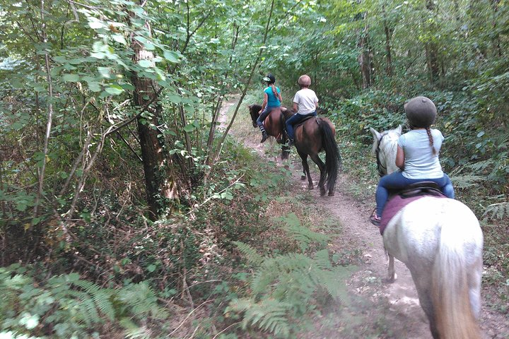 Children's walk in the forest of ROIFFE