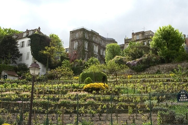 The Winegrowers’ Rally in Montmartre - Photo 1 of 4