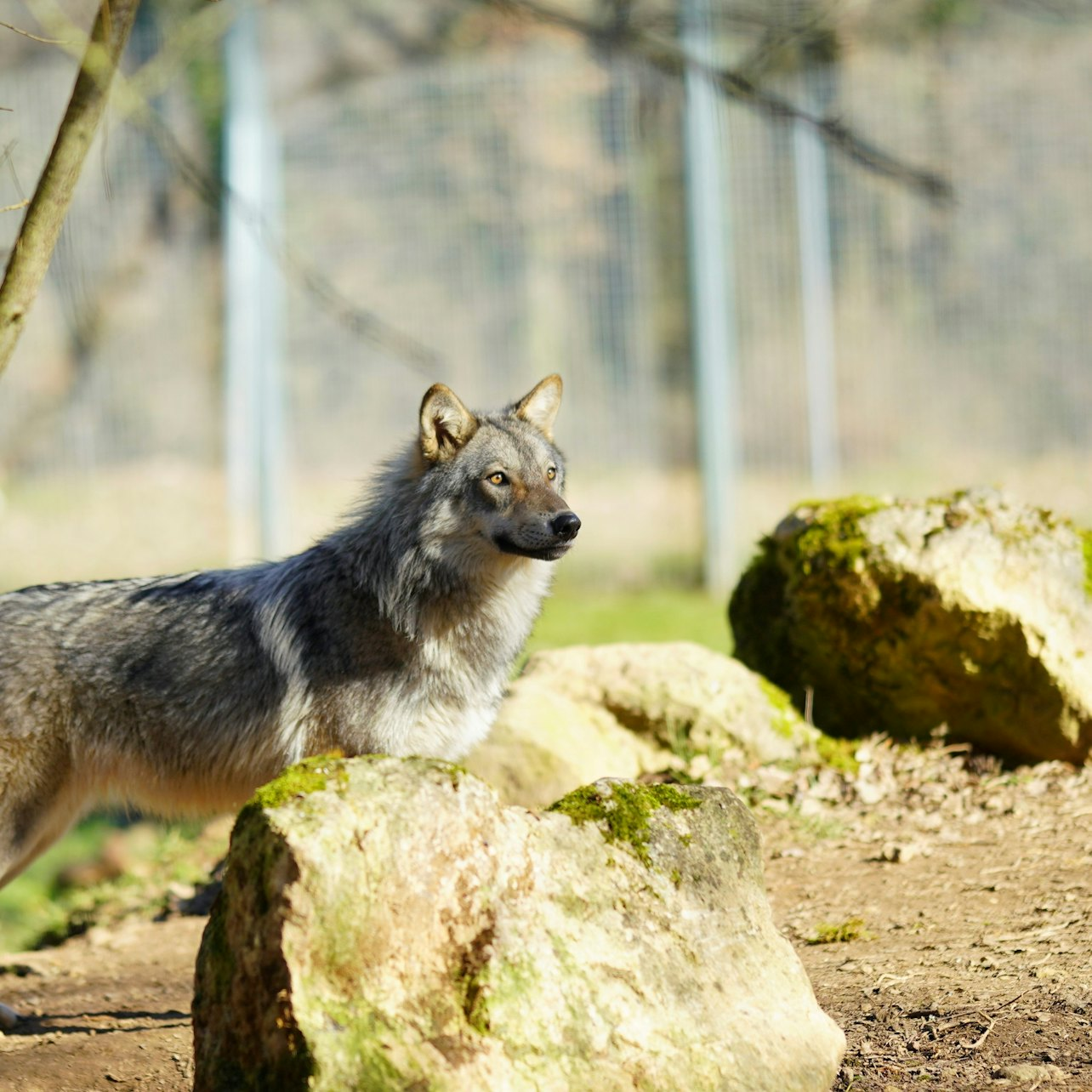 Thot Park: Entry Ticket - Photo 1 of 4