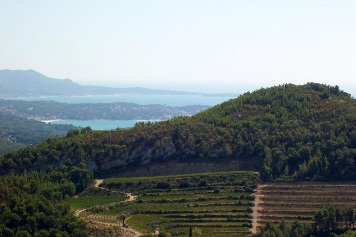 bandol area