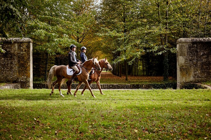 Horse-riding in the Gardens of Versailles