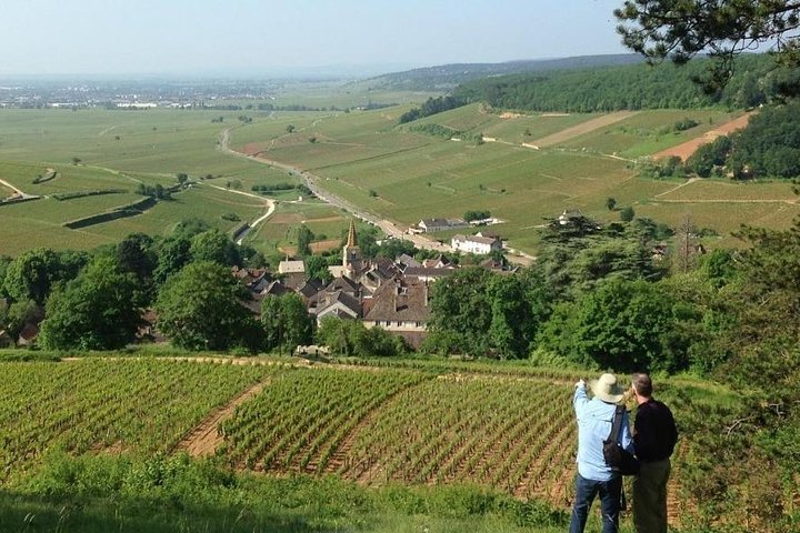 Wine tour and tasting in Burgundy - Photo 1 of 10