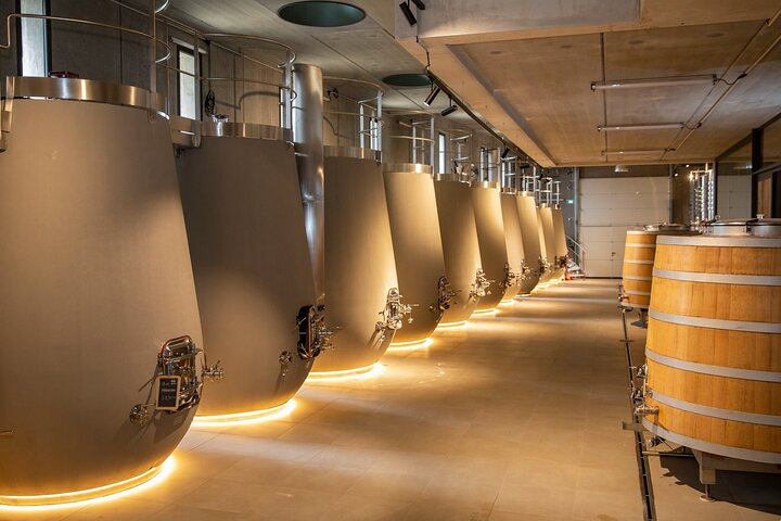 Wine, Olive Oil and Scenic Villages of Provence - Photo 1 of 10