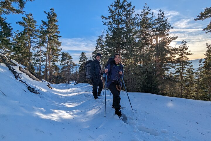 2 Day Hiking: Snow Shoes Trail - Photo 1 of 4