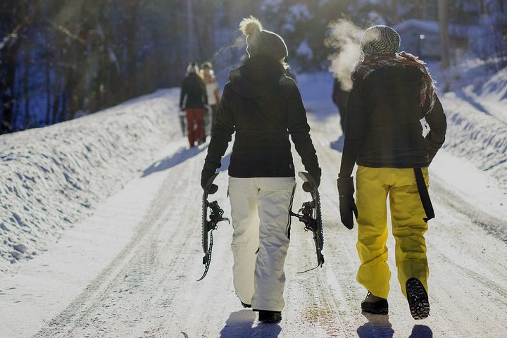 Walking in Borjomi National Park