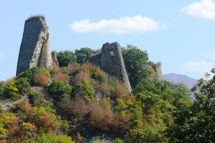 Cradle of Wine - Ujarma, Tsinandali, Gremi - Photo 1 of 6