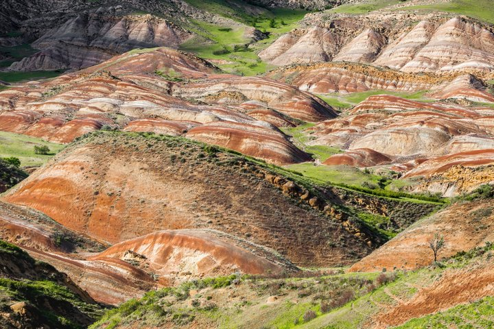 Day Trip to Rainbow Mountains and David Gareja - Photo 1 of 22