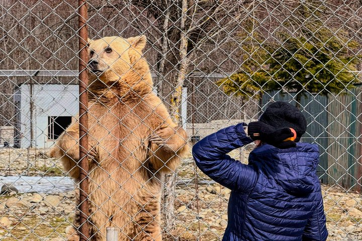 Tbilisi: Family Tour — Bears, Chronicle, Jvari & Sabaduri Forest - Photo 1 of 9